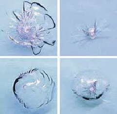 Windshield Chip Repair